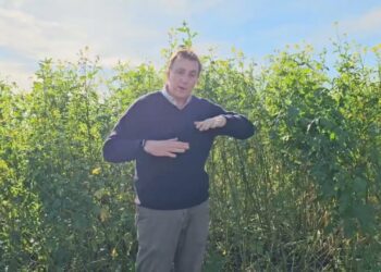 Quando terminar a Cultura de cobertura?