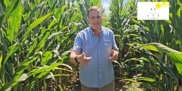 Agricultura Feliz – 6º Episódio – O Sol será o Combustível de todo o Processo Agrícola