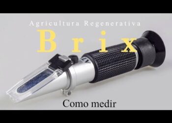 Brix nas plantas. Para que serve, como medir?