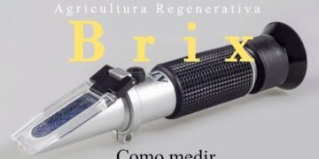 Brix nas plantas. Para que serve, como medir?