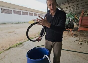 Multiplicar microrganismos autóctones através de extrato de composto.