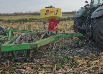 Re-Sementeira da cultura de cobertura com rolo de facas