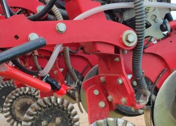 Inoculação de microorganismos na linha de sementeira. Grão de bico em sementeira directa