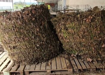 Acidente no Casão. Compostor colapsa