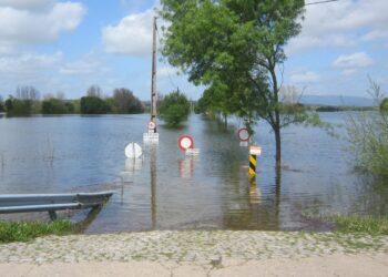 Crónica de uma Cheia Anunciada