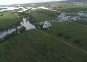 Crónica do Rio Selvagem