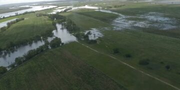Crónica do Rio Selvagem