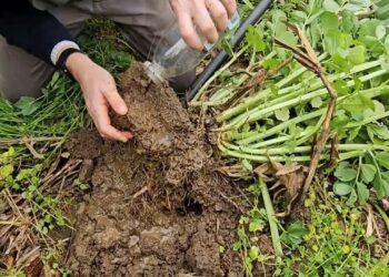 Mobilização verde. Quando a mobilização convencional já não é necessária.
