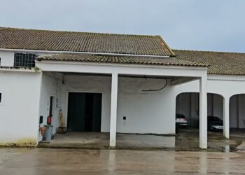 Recolher água da chuva para aplicação folear de alta eficácia.