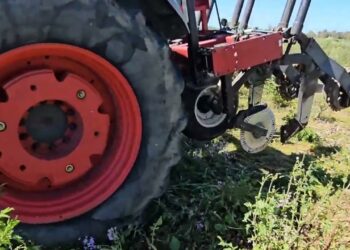 Biomassa de grandes dimensões, complica sementeira directa