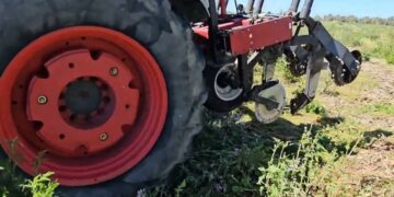 Biomassa de grandes dimensões, complica sementeira directa