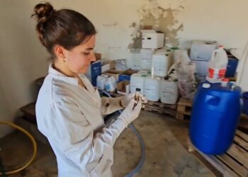 Multiplicação de microorganismos in situ. Reactor industrial fechado.