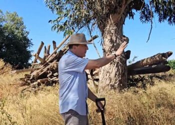 Como produzir Biofertilizante em casa. Modelo NVA adaptado a Portugal