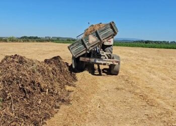 Composto Termófilo Remineralizado feito na Quinta.