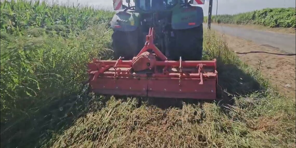 “Flächenrotte”  Fermentação de infestantes. À procura da redução de herbicida