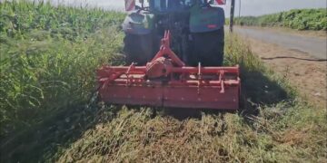 “Flächenrotte”  Fermentação de infestantes. À procura da redução de herbicida