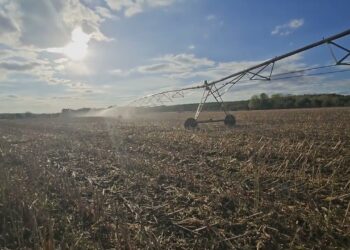 Inoculação Biológica pós colheita. O que é e para que serve?