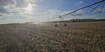 Inoculação Biológica pós colheita. O que é e para que serve?