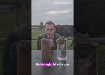 O que é um solo em regeneração  #agriculturaregenerativa