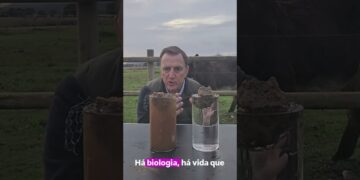 O que é um solo em regeneração  #agriculturaregenerativa