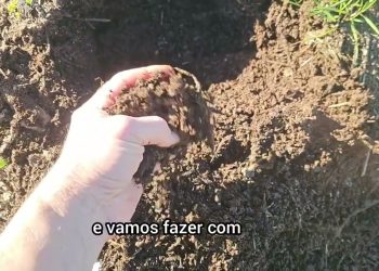 Composto termófilo para a produção de Vermicompostagem