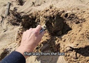 Agricultura Regenerativa reduz fortemente a erosão hídrica