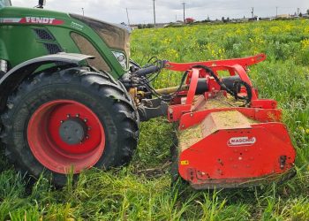 Poda na cultura de cobertura