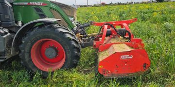 Poda na cultura de cobertura