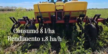 Strip-till para descompactar a linha de sementeira