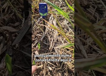 Como baixar o pH de forma barata