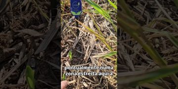 Como baixar o pH de forma barata