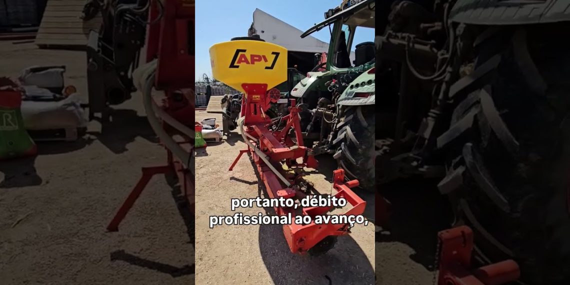 Culturas companheiras da cultura de milho  #agriculturaregenerativa #milhoamarelo