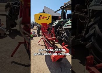 Culturas companheiras da cultura de milho  #agriculturaregenerativa #milhoamarelo