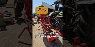 Culturas companheiras da cultura de milho  #agriculturaregenerativa #milhoamarelo