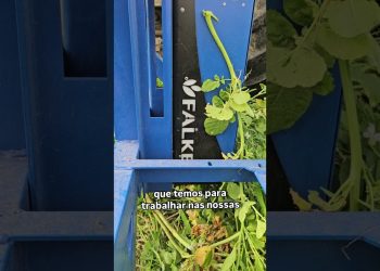 Penetrometro de Varrimento