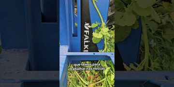 Penetrometro de Varrimento