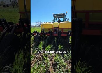 Strip-till. Mobilização mínima na sementeira do milho