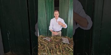 Avaliação da taxa de mineralização da cultura de cobertura