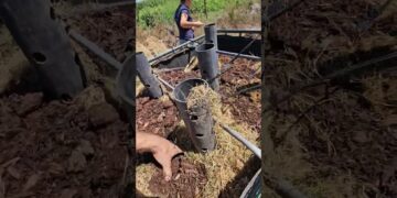 Johnson-su.  Compostagem termófila estática