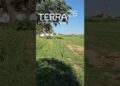 Terra’26   festival regenerativo a 9 e 10 Setembro