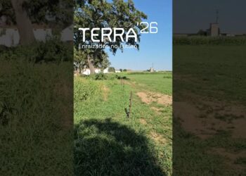 Terra’26   festival regenerativo a 9 e 10 Setembro