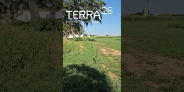 Terra’26   festival regenerativo a 9 e 10 Setembro