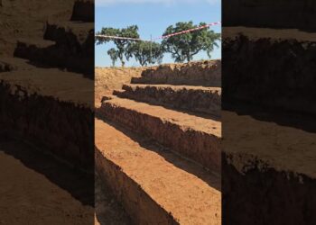 Perfil de Solo vai ser Auditório no Terra’26