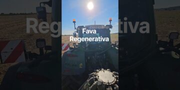Fava Regenerativa + cultura companheira